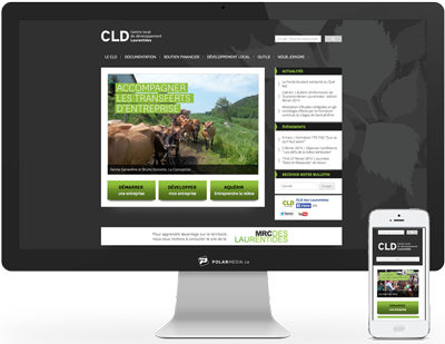 refonte de site internet cld laurentides